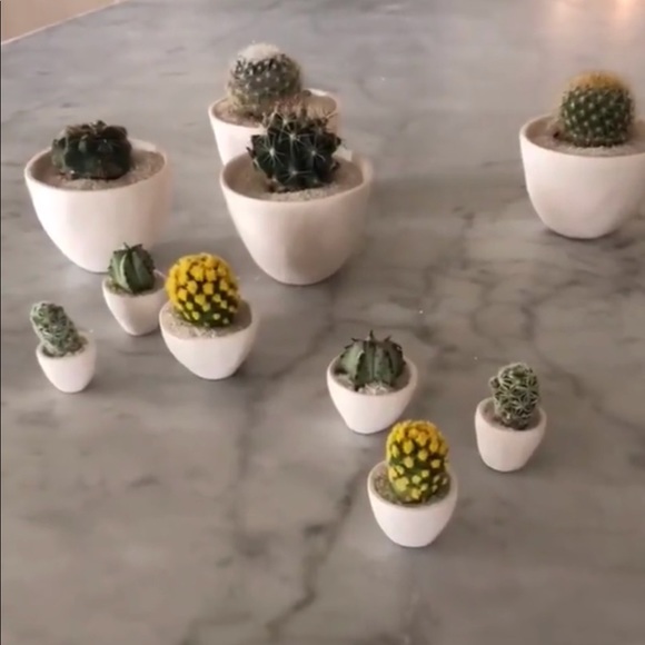 Please Help Me Clear My Closet :) - Picture 1 of 1